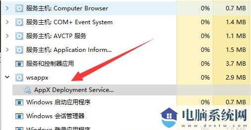 Win11系统wsappx占用内存高怎么办？Win11 wsappx占用内存高的解决方法