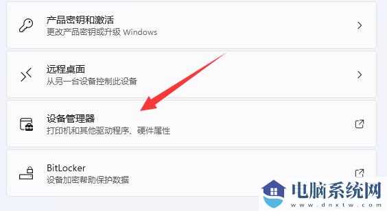 Win11如何查看自己电脑的显卡信息？Win11查看显卡配置方法