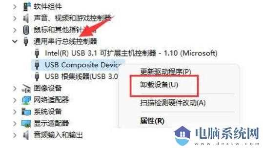 Win11移动硬盘不显示怎么办？Win11移动硬盘不显示问题解析