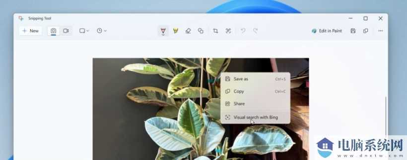 微软升级 Win11 截图工具：调用 Bing 