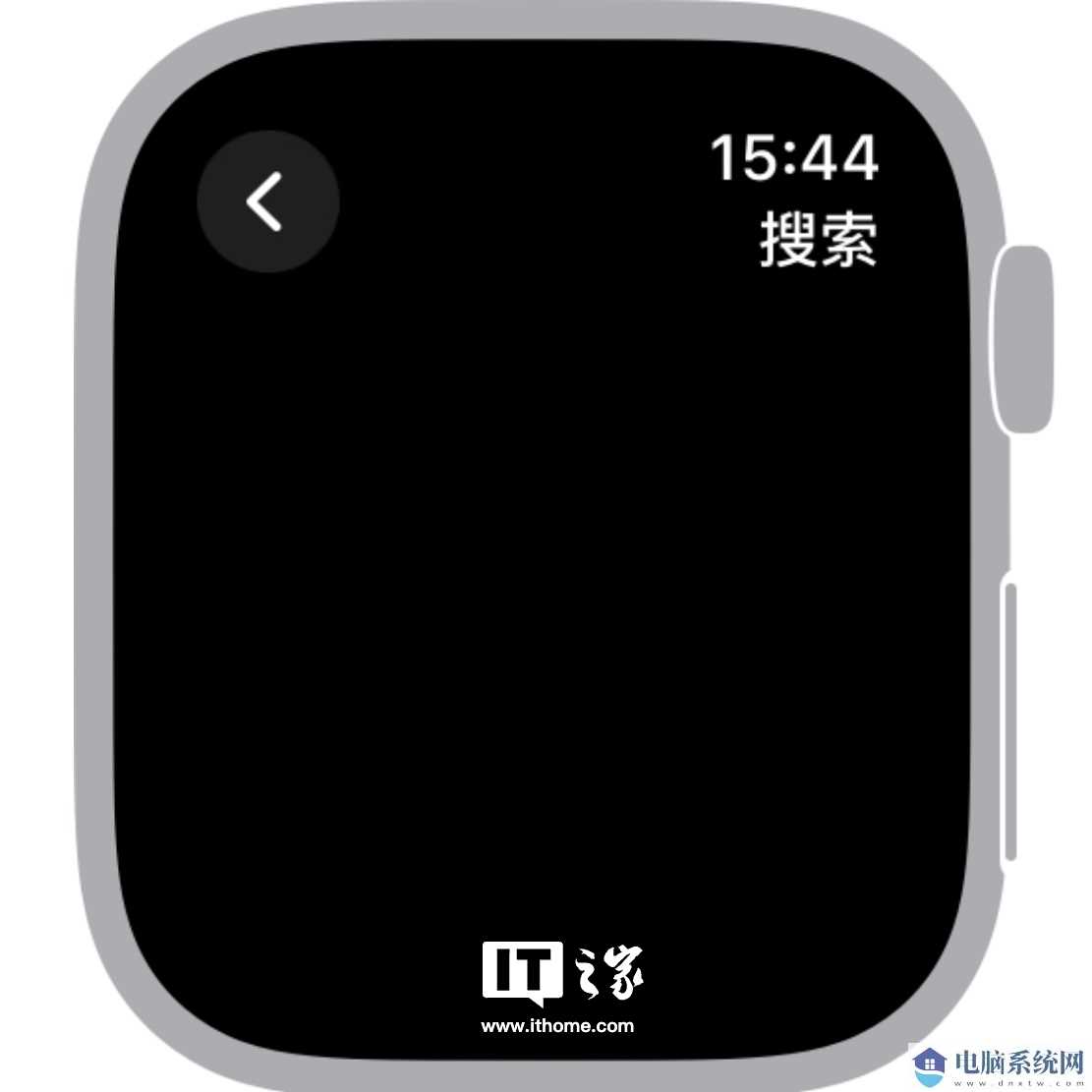 Apple Watch 界面