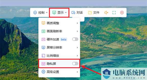 ToDesk(远程协助软件)