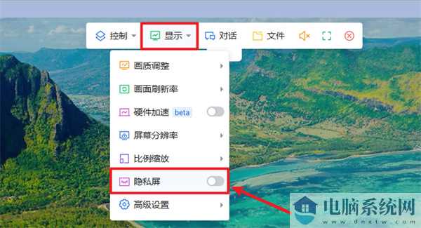 ToDesk(远程协助软件)