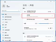 Win11声卡驱动怎么更新？Win11声卡驱动更新方法