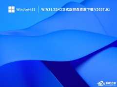 Win11网盘下载_Win11最新版本22H2正式版下载(免激活)