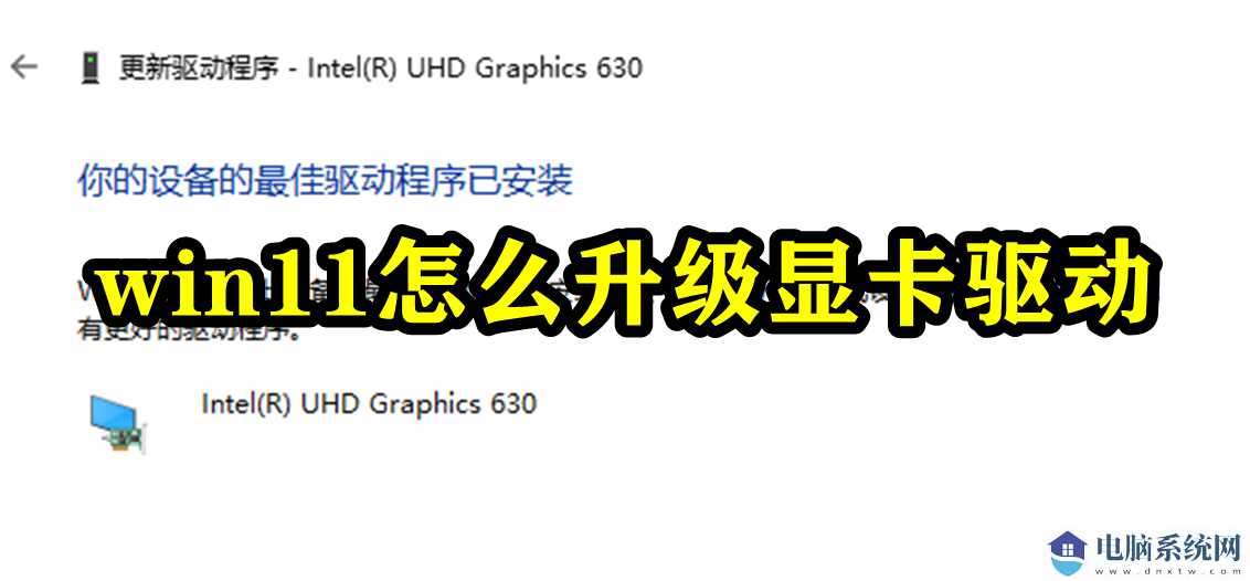 win11怎么升级显卡驱动？win11显卡驱动升级步骤教程