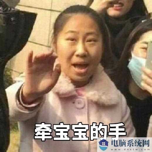 虹桥一姐带字表情包下载