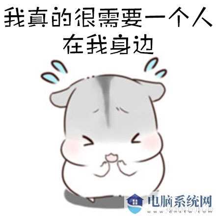 仓鼠关于朋友卖萌表情包